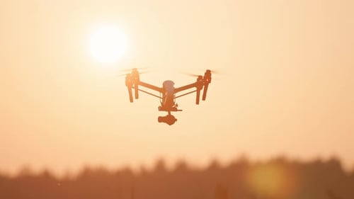 Drone Flying at Sunset Over Trees