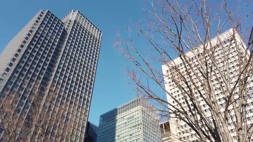 POV to the sky with many skyscraper office building in the big city