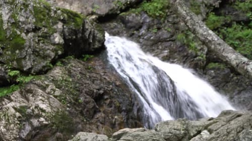 A magnificent waterfall surrounded by rocks, vegetation, and wood.