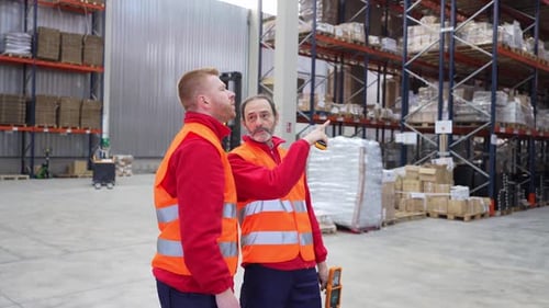 Warehouse Workers Discussing Logistics and Pointing at Storage Shelves