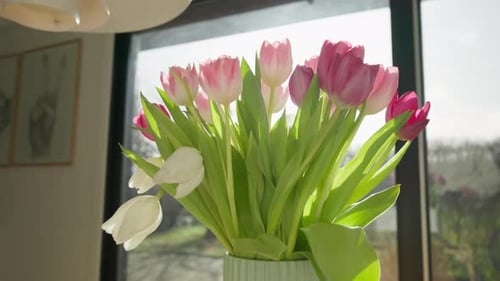 Vase of Tulips in Bright Sunlight