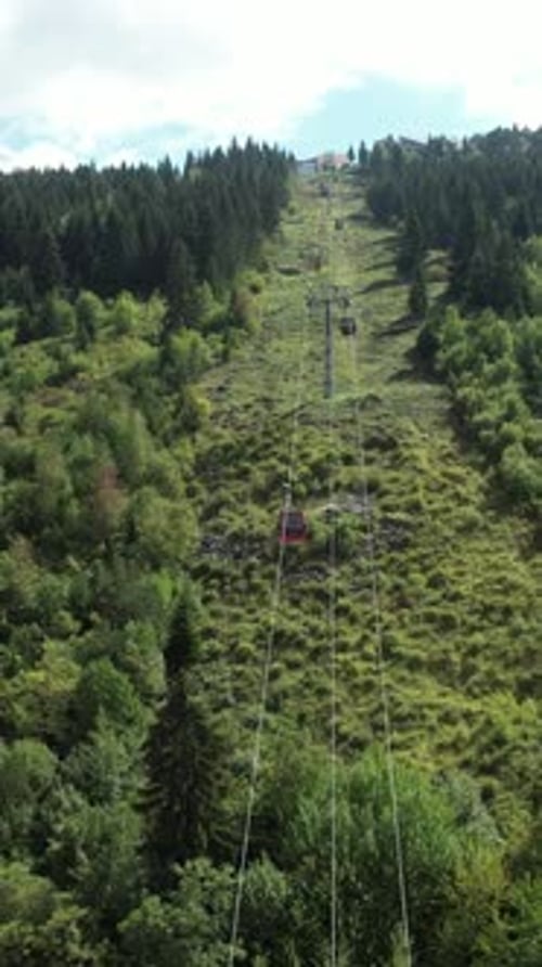 Cable Car in the Green Forest