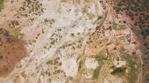 Descending above the rocky landscape with some scarce greenery.