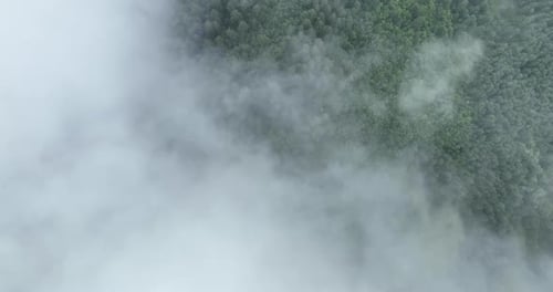 Aerial View of Clouds Over a Green Forest
