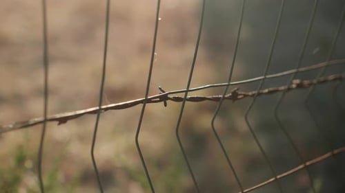 Barbed wire metal fence to create barrier. Close up, slow motion.