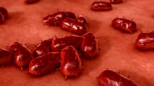 Detailed 3D rendering of bacteria cells on human skin surface