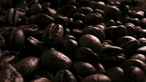 Coffee Beans