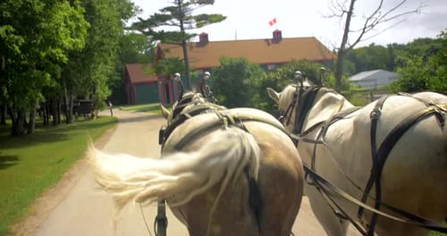 Horses Pulling Carriage Down Quiet Road Adventure