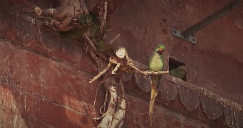 Varanasi Uttar Pradesh India Two