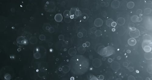 Abstract Bubbles and Light Particles Against Dark Background