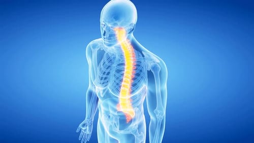 Leuchtende menschliche Wirbelsäulenanatomie, die die Wirbelsäule in digitaler Bewegung zeigt