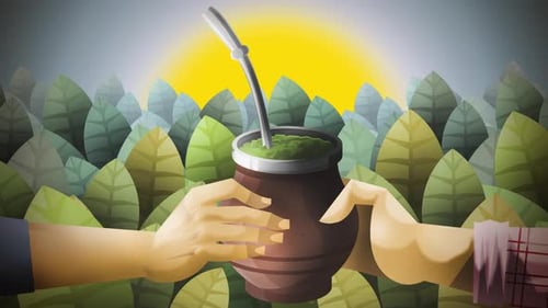 two people sharing mate drink with yerba mate plants in a sunny field