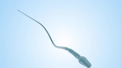 Animated Human Sperm Cell Medical Science Rendering