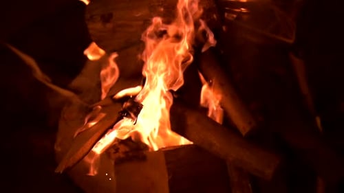 Burning Campfire with Orange Flames in the Darkness