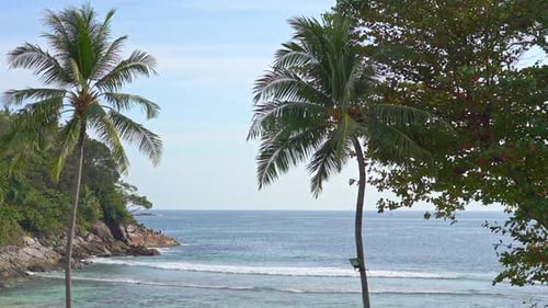 Beautiful Hidden Exotic Beach, Tropical Vegetation and Sea Horizon on Sunny Day. Static Slow Motion