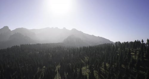 Majestic Mountains Tower Over Lush Forest Under Bright Sunlight