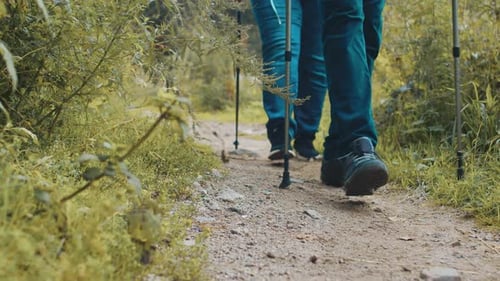 Elderly Couple with Hiking Sticks Walk Slowly on a Narrow Forest Trail in the Middle of Dense Grass