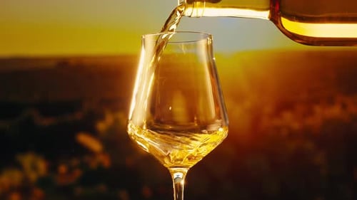 Orange or White Wine Bottle and Glass Against a Sunset in a Peaceful Vineyard Pouring of Ecological