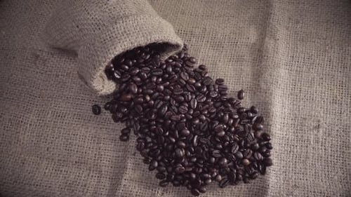 Roasted Coffee Beans Spilling from Burlap Sack