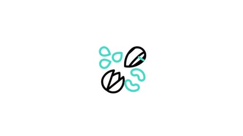 Nuts Animated Icon
