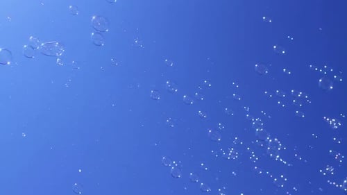 Bubbles Floating in the Air