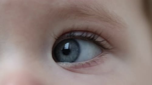 Macro view of cute child with beautiful eyes