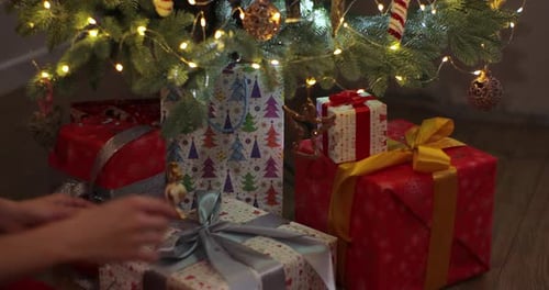 Top View of the Hands of a Woman Puts a Present Under the Christmas Tree