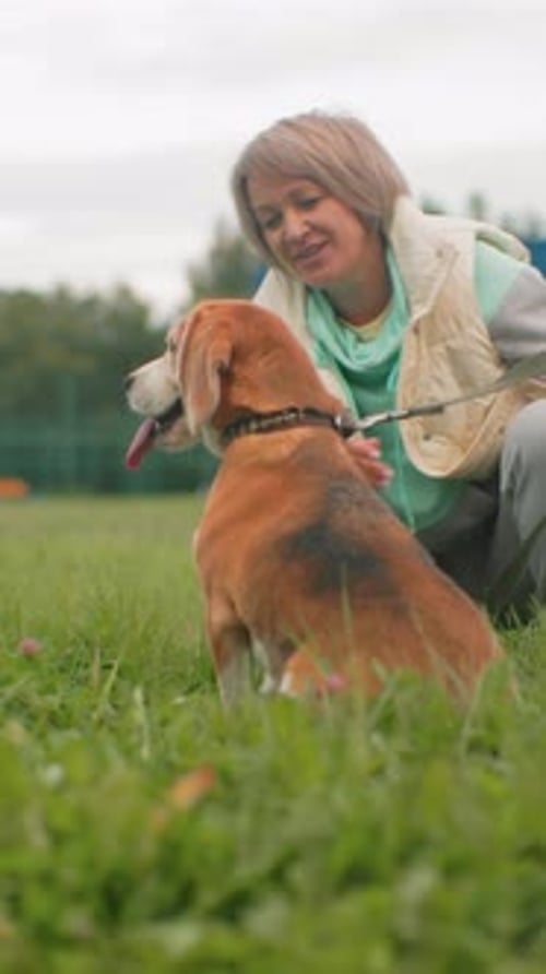 Woman interacts with her beagle dog in green field