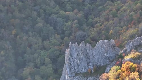 Aerial View of Mountain and Forest