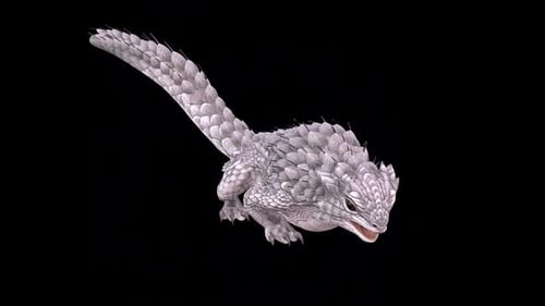 Spiny Lizard Claws
