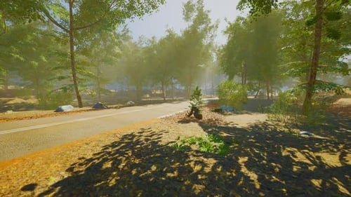 A Winding Road Through a Serene Forest During the Day