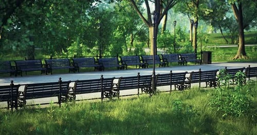 Serenity in the Park with Empty Benches and Lush Greenery on a Sunny Day