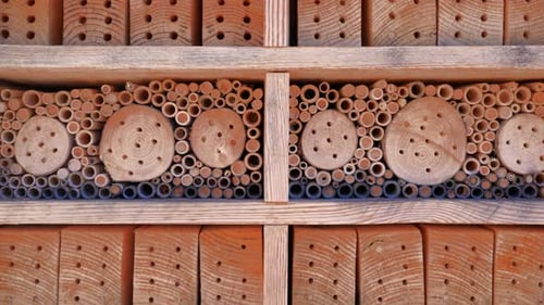 wooden insect house for bugs