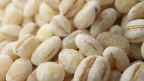 Barley seeds without hulls