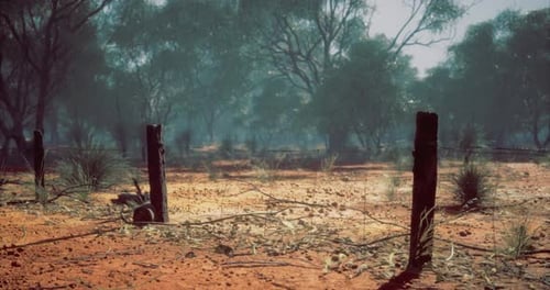 Rustic Barbed Wire Fence in Natural Atmospheric Landscape