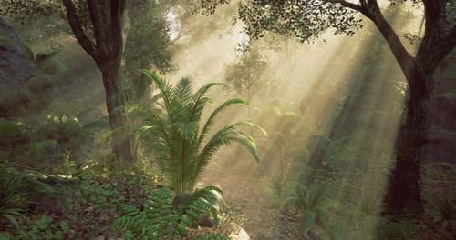 Light Filtering Through Trees in a Lush Tropical Forest During Golden Hour