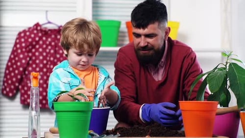 Father Ans Son Planting Sprout in a Plant Pot