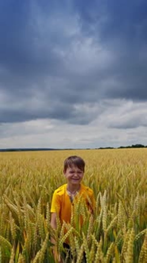 Cheerful boy in yellow field. Happy child hiding in wheat field against cloudy sky in summer.