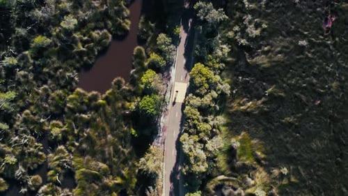 Morning runner on a serene bush road