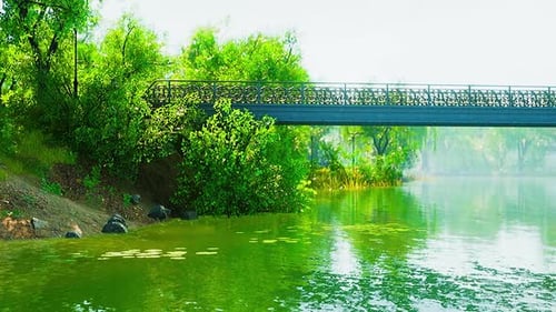 Beautiful Scenic in the Park