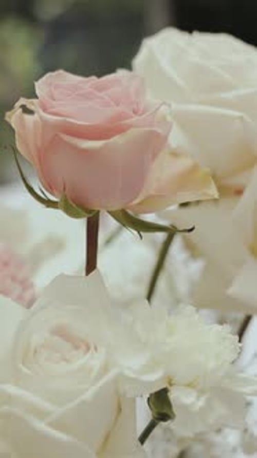 Beautiful Bouquet of Pink and White Wedding Roses