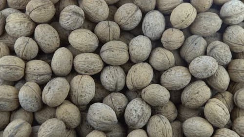 Walnut in Shell Background View From Above Healthy Food Top View