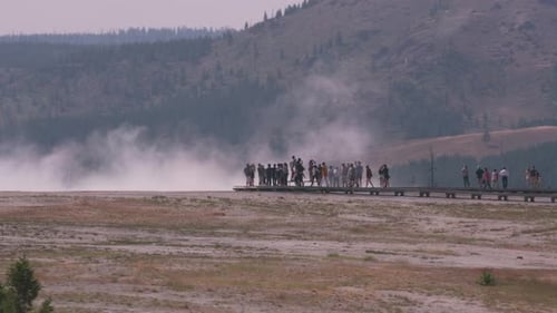 Yellowstone Summer Day Ambience
