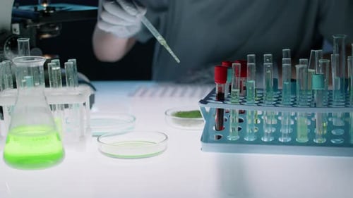 Hände eines Biochemikers, der experimentelle Lösung auf ein Substrat in einer Petrischale fallen lässt