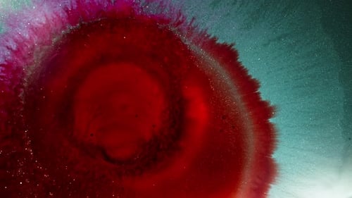 Swirling red ink and vibrant blue liquid create a mesmerizing abstract composition