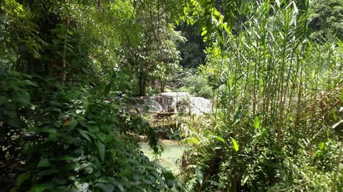 4k pan going through the lush jungle vegetation and uncovering a sight at one of the numerous cascad