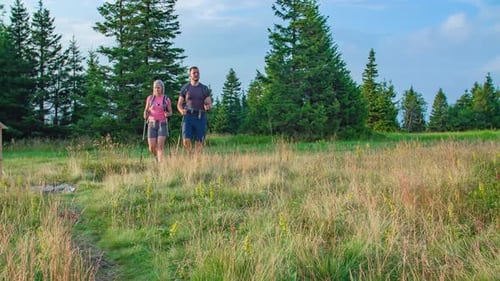 Couple Hiking in Beautiful Mountain Meadow