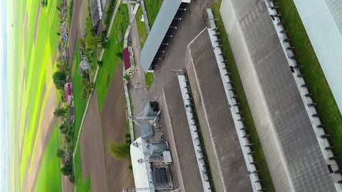 Luftbild einer großen Farm mit Kühen mitten im Dorf und Feldern