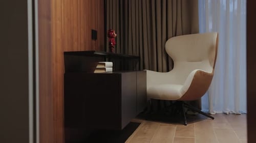 Modern Living Room with Chair and Books