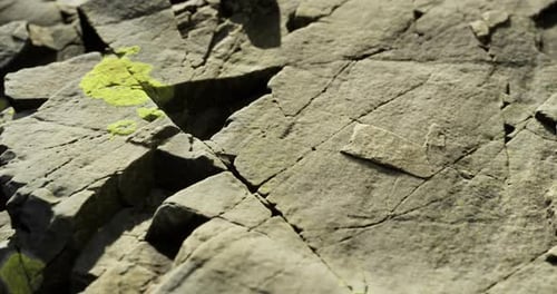Rock Surface Showcasing Intricate Textures Patterns and Mossy Green Spots